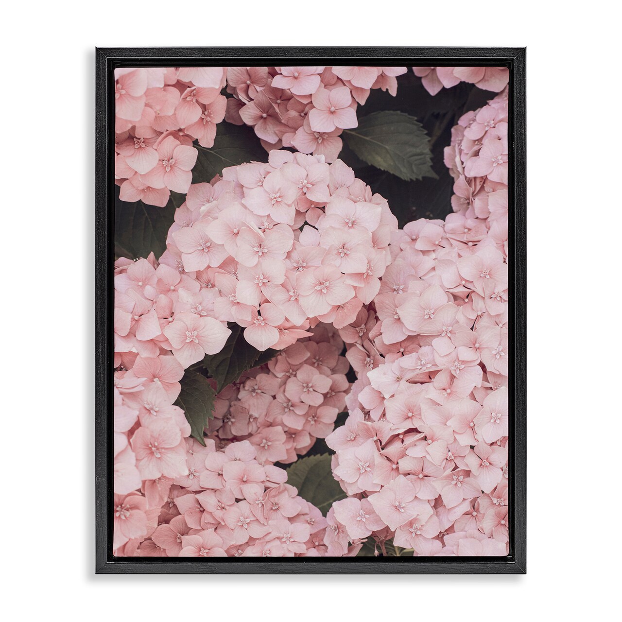 Stupell Industries Pink Hydrangea Blossoms Framed Floater Canvas Wall Art Design by Sisi and Seb